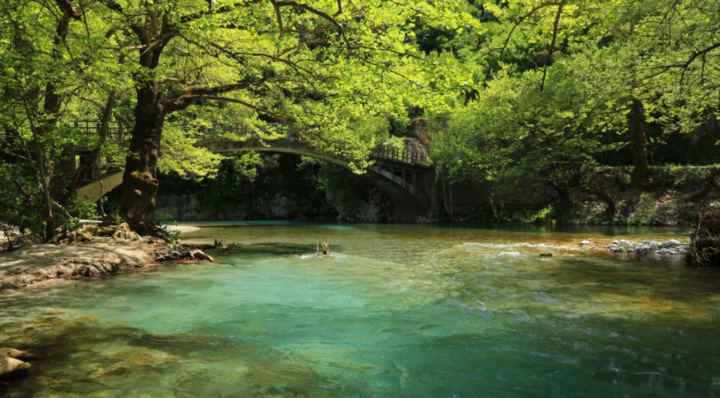 Serene Zagori river with lush green trees