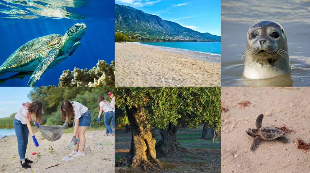 Sustainability Tourism in Greece