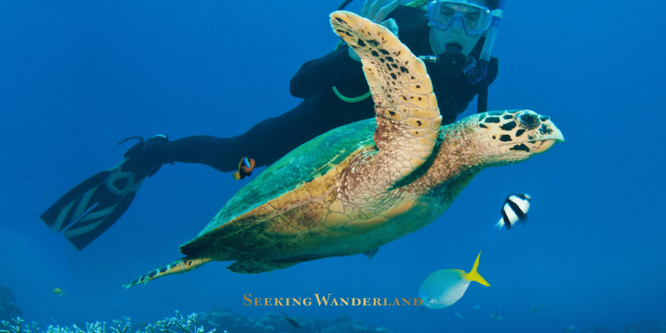 Greek islands diving