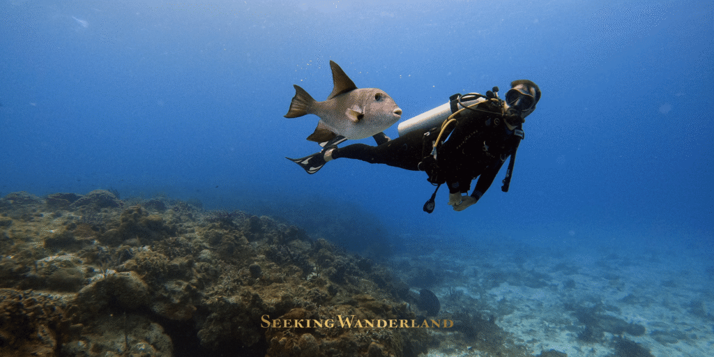 best dive spots Greece